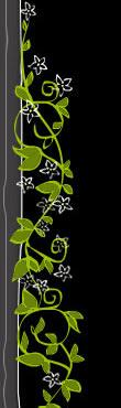 Right Border